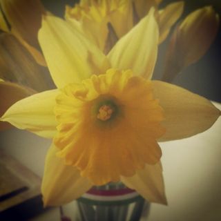 n97-IIJqUFyTL_eeis2Z7XhyAVjohn89Gt7TfKqf290