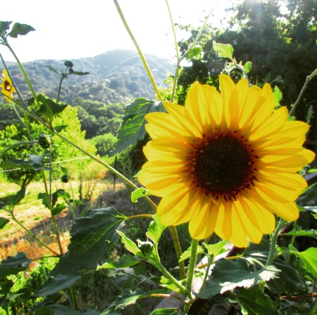 IMG_20180716_083930_847